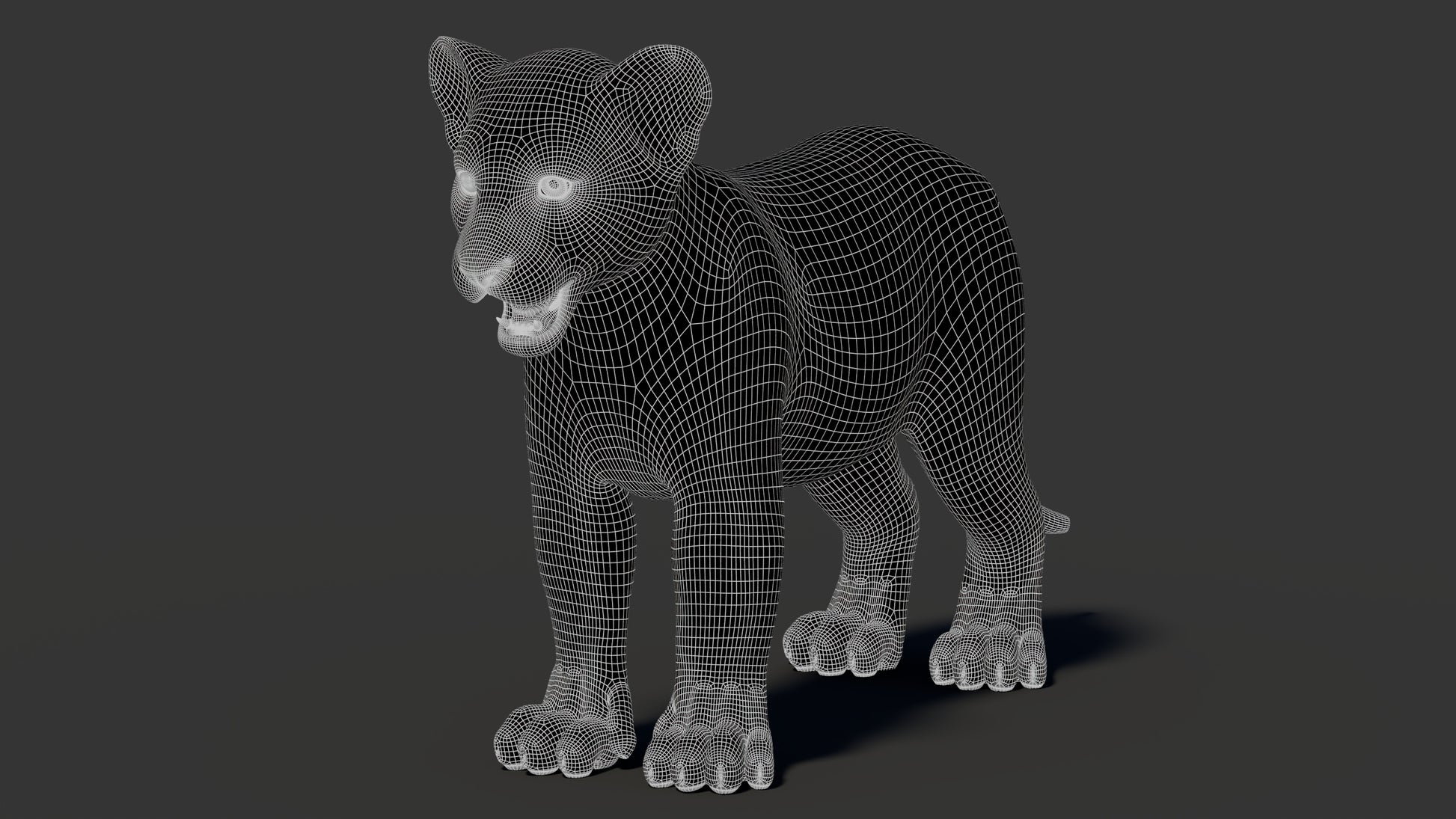 Lion Cub 3D Model Wireframe View 1