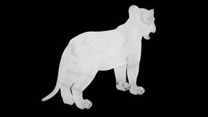 Lion Cub 3D Model Bundle – Natural & White Thumbnail