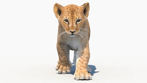 Animated Lion Cub 3D Model for Download Thumbnail