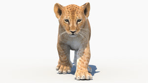 Animated Lion Cub 3D Model for Download Thumbnail