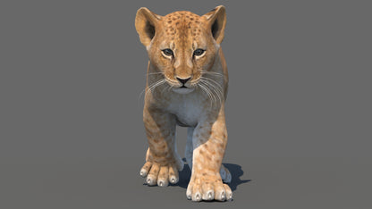 Animated Lion Cub 3D Model