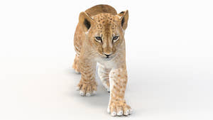 Animated Lion Cub 3D Model for Game Thumbnail