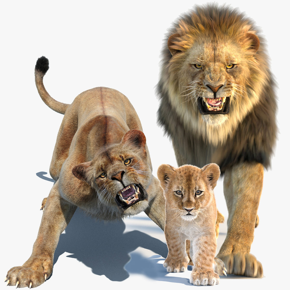 Animated Lion, Lioness, and Lion Cub 3D models with Fur for your Project