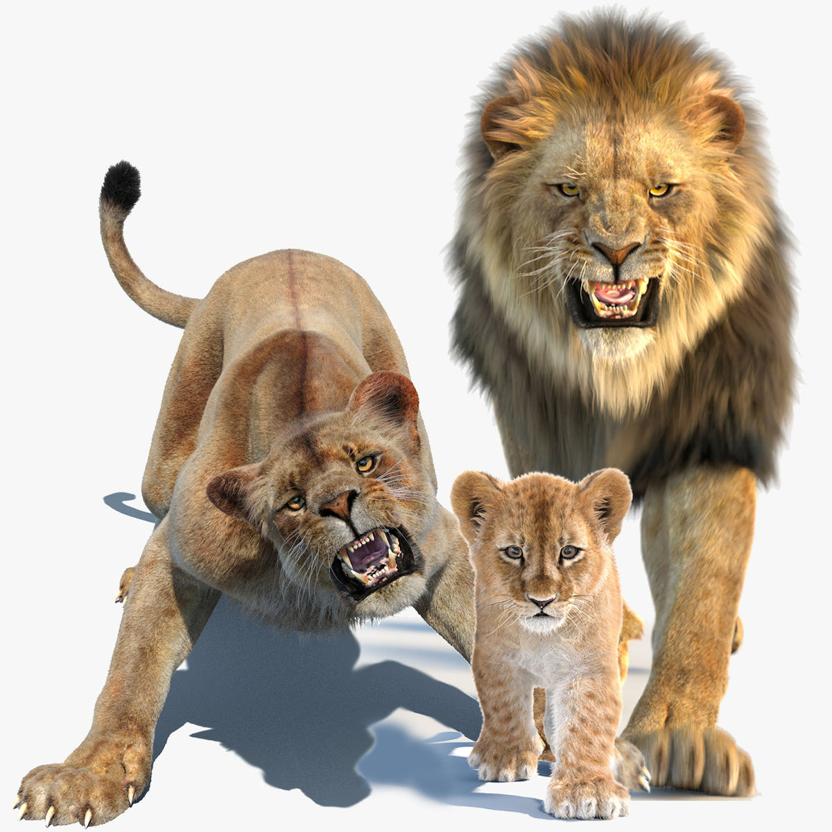 Animated Lion, Lioness, and Lion Cub 3D models with Fur for your Project