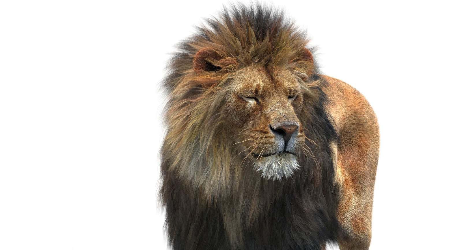High-quality lion head close-up side profile with detailed fur grooming, rendered in 3ds Max Arnold for VFX