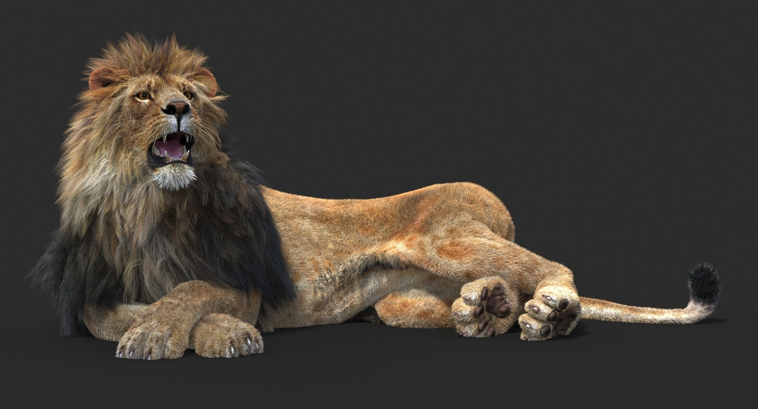 Rigged lion 3D model lying down with mouth open, detailed hair and fur, rendered in 3ds Max Arnold