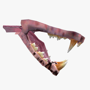 Lion Mouth 3D Model Thumbnail