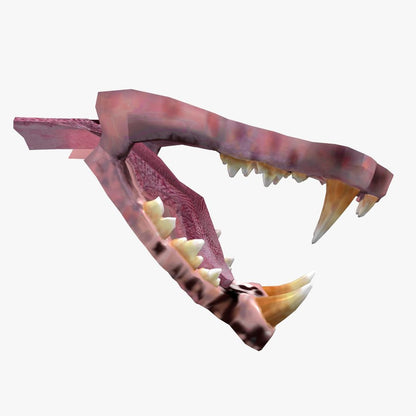 Lion Mouth 3D Model