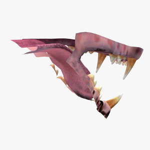 Lion Mouth 3D Model Thumbnail