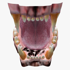Lion Mouth 3D Model Thumbnail
