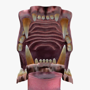 Lion Mouth 3D Model Thumbnail