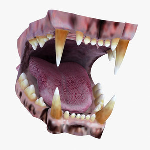 Lion Mouth 3D Model Thumbnail