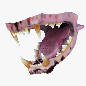 Lion Mouth 3D Model Thumbnail