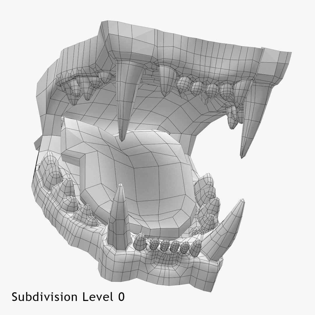 Lion Mouth 3D Model Wireframe View, Subdivision Level 0