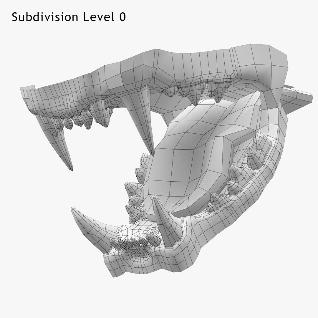 Lion Mouth 3D Model Wireframe View, Subdivision Level 0
