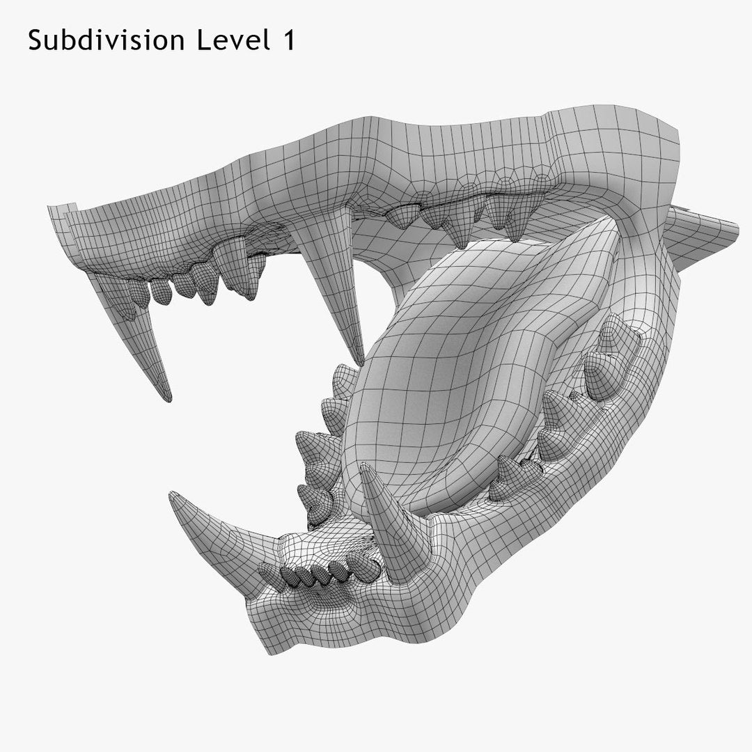 Lion Mouth 3D Model Wireframe View, Subdivision Level 1