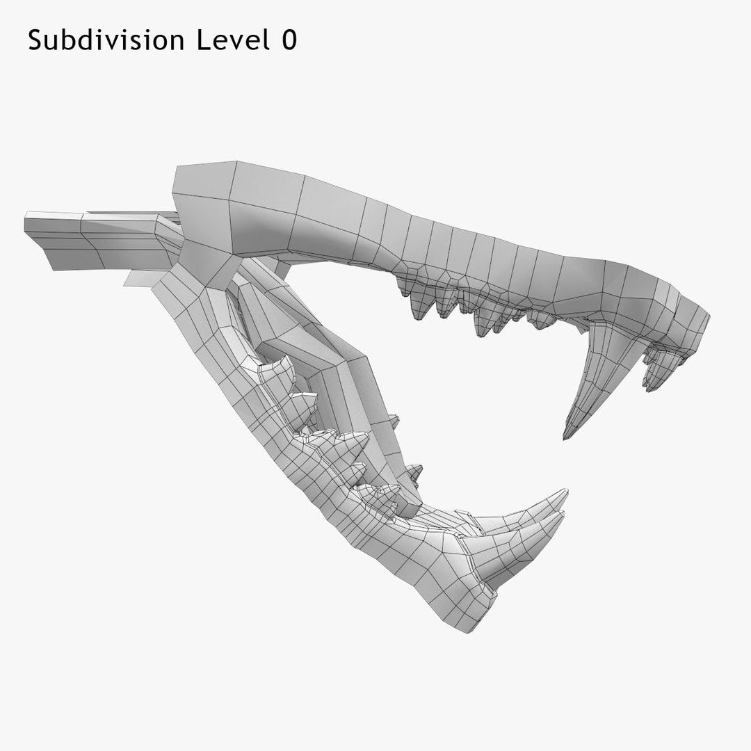 Lion Mouth 3D Model Wireframe View, Subdivision Level 0