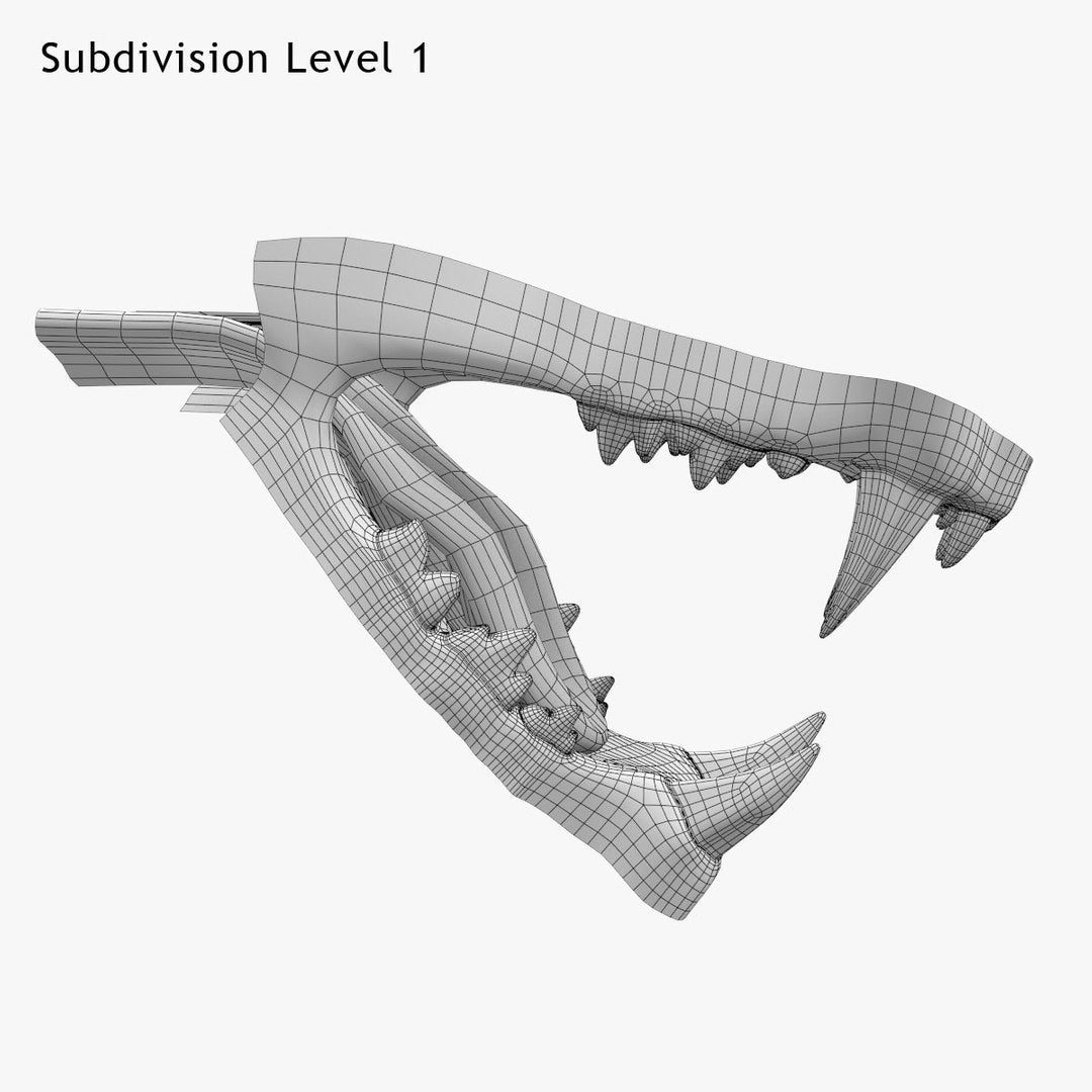 Lion Mouth 3D Model Wireframe View, Subdivision Level 1