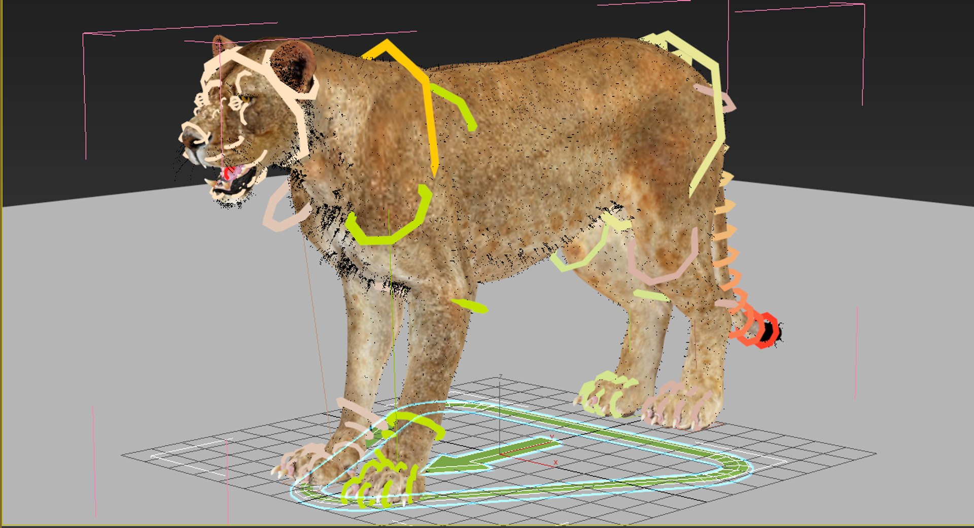 Lioness 3D Model Rig