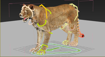 Animated Lioness 3D Model Fur