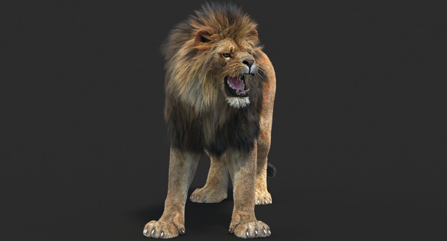 Lion roaring 3D model with hair and fur, rendered in 3ds Max using Arnold for professional projects