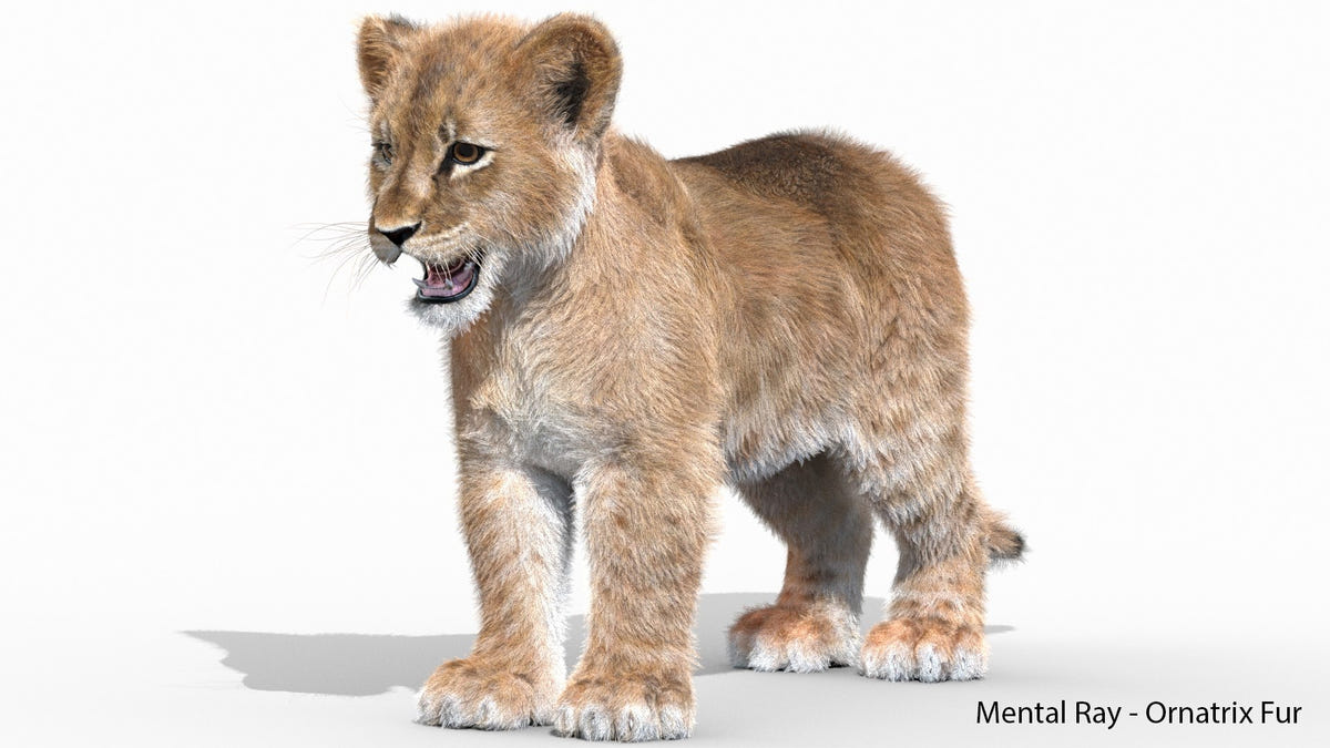 Realistic Lion Cub 3D Model with Fur for Download 3ds Max: Ornatrix Fur -  Mental Ray