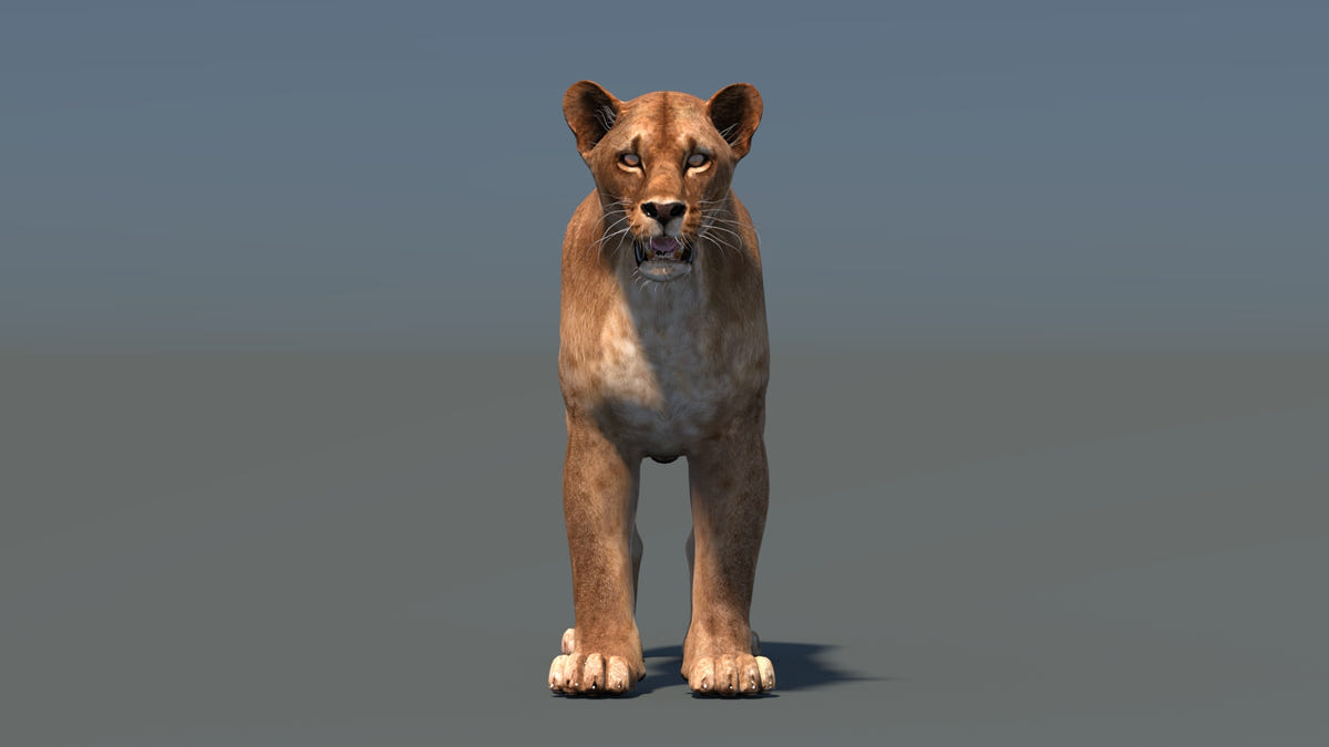 Big Cats 03 3D Model - 360 Degree View