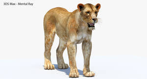 Realistic Lioness 3D Model - 3DS Max Mental Ray Thumbnail
