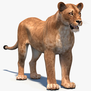 Realistic Lioness 3D Model for Game, VR, and CGI Thumbnail