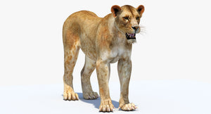 Realistic Lioness 3D Model - 3DS Max  Thumbnail