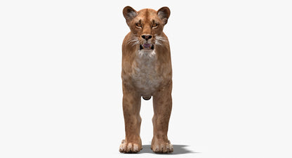 Big Cats 03 3D Model