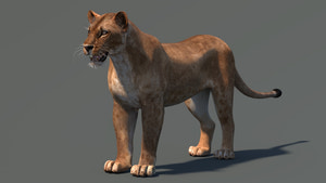 Realistic Lioness 3D Model for Game, VR, and CGI Thumbnail