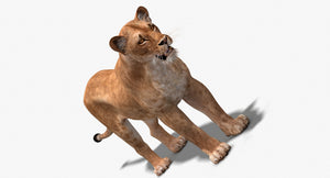 Realistic Lioness 3D Model for Download Thumbnail