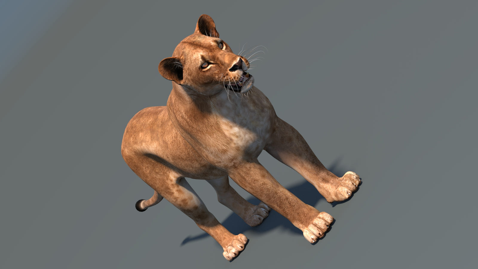 Realistic Lioness 3D Model for Game, VR, and CGI