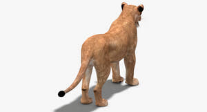 Realistic Lioness 3D Model for Download Thumbnail