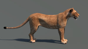 Realistic Lioness 3D Model for Game, VR, and CGI Thumbnail