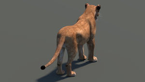 Realistic Lioness 3D Model for Game, VR, and CGI Thumbnail