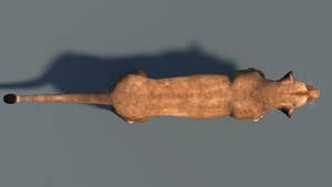 Realistic Lioness 3D Model for Game, VR, and CGI Top View Thumbnail