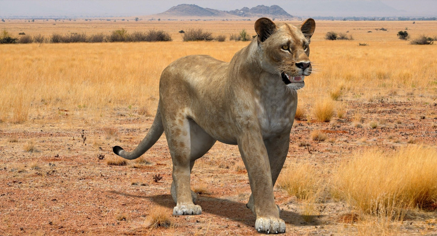 Rigged Animated Lioness 3D Model