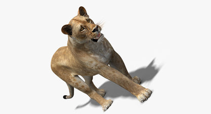 Rigged Animated Lioness 3D Model