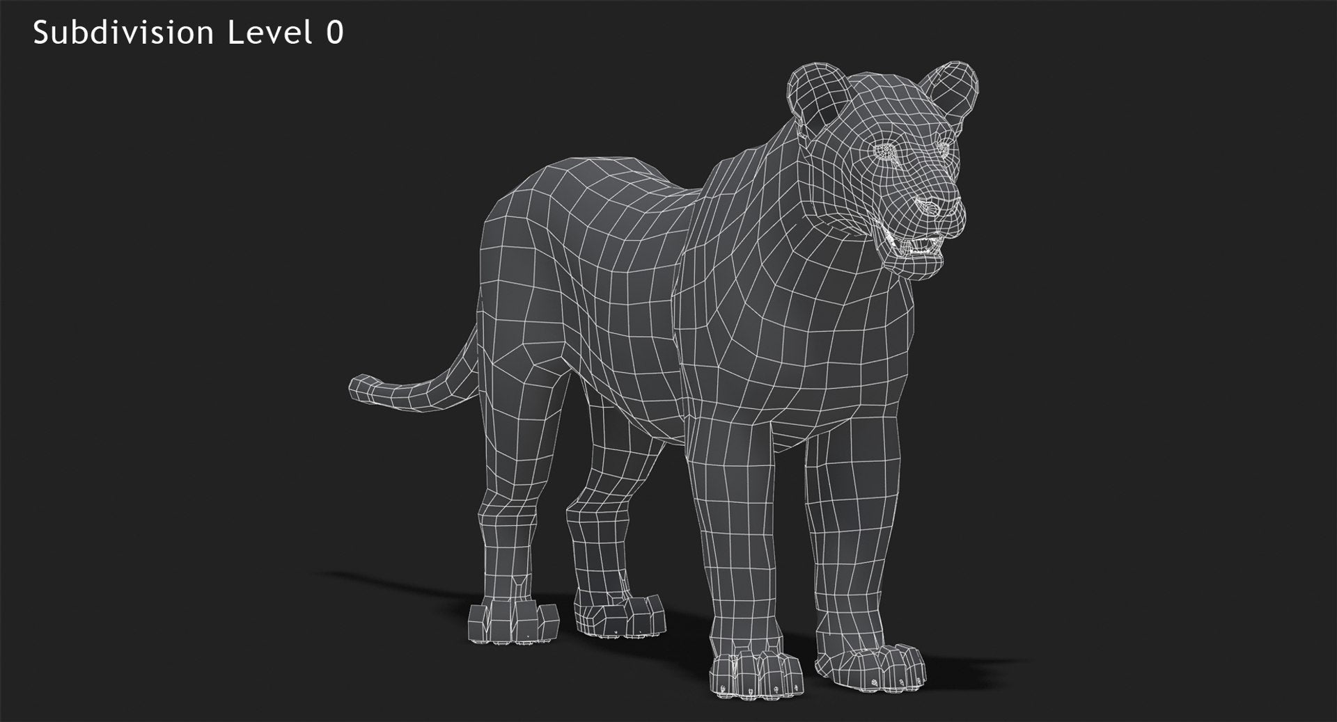Rigged Animated Lioness 3D Model