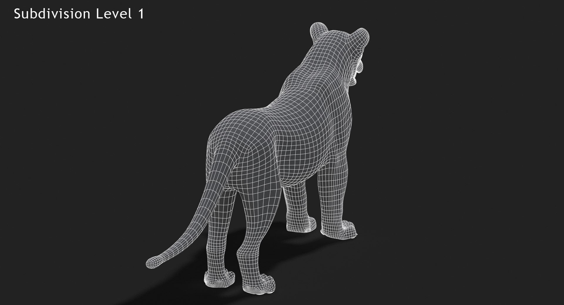 Rigged Animated Lioness 3D Model