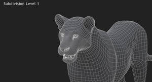 Rigged Animated Lioness 3D Model Thumbnail