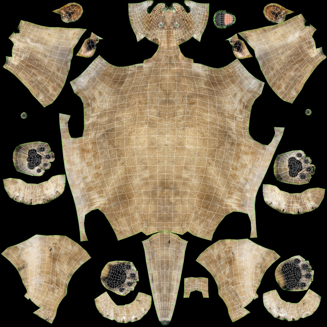 Lioness 3D Model Body UVs