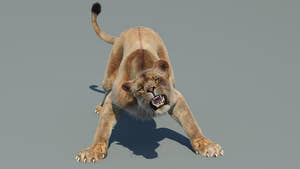 Lion Family 3D Models – Rigged Animated Bundle Thumbnail