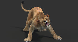 Animated Lioness 3D Model with Fur — Rigged and Game‑Ready Thumbnail