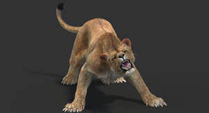 Lion Family 3D Models – Rigged Animated Bundle Thumbnail