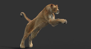 Big Cats Ultimate 3d Models Bundle Thumbnail