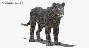 Lioness 3D Model Wireframe View, Subdivision Level 0 Thumbnail