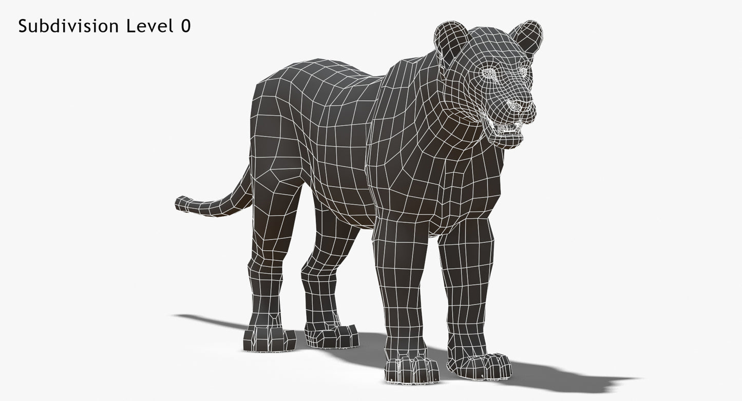 Big Cats 03 3D Model